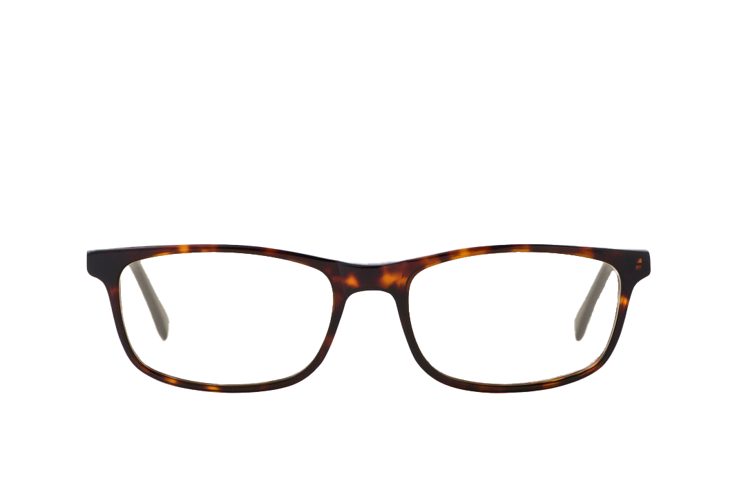 Tortoise Shell Computer Glasses Front View