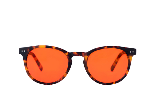 Clarke Blue Light Blocking Glasses Prescription Front View