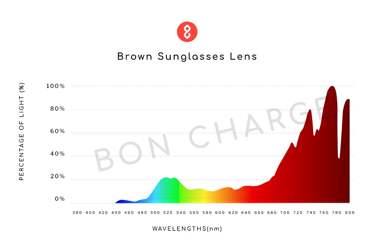 Melissa Sunglasses Readers (Brown)